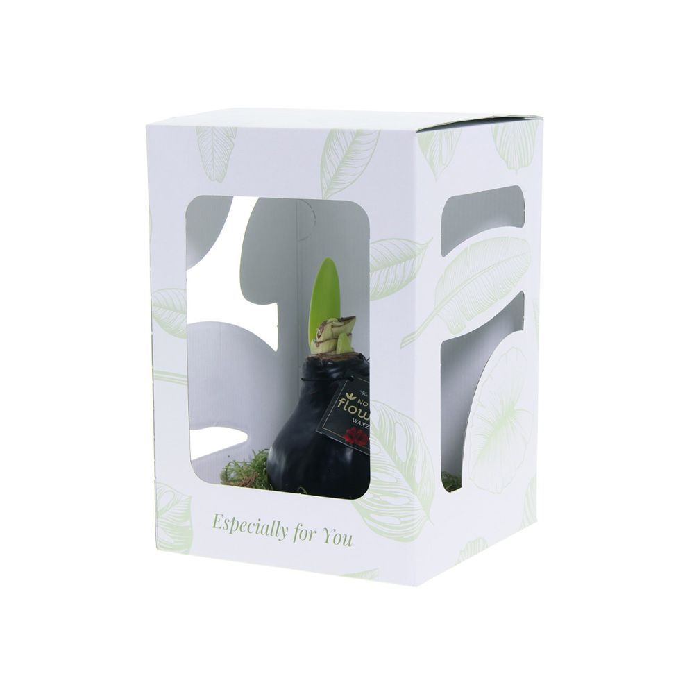 No Water Flowers® - Waxz® on golden dish, In Geschenkbox, Lila
